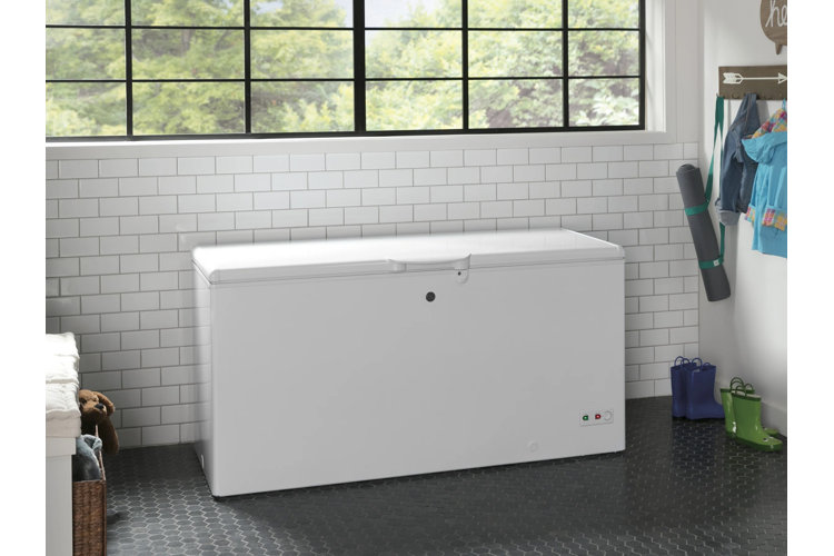 Choosing Freezers Upright vs. Chest Models Wayfair Canada